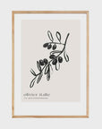 Olive Tree Print | Oak Box Frame | A1