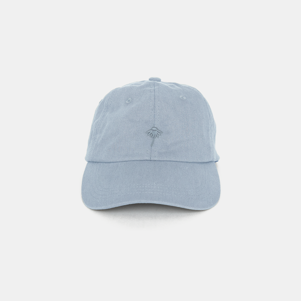 Embroidered Twill Cap | Sky + Dandelion