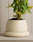 Cloud Planter | White Speckle | Large