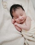 Organic Cotton Muslin Swaddle Blanket | Dinosaurs