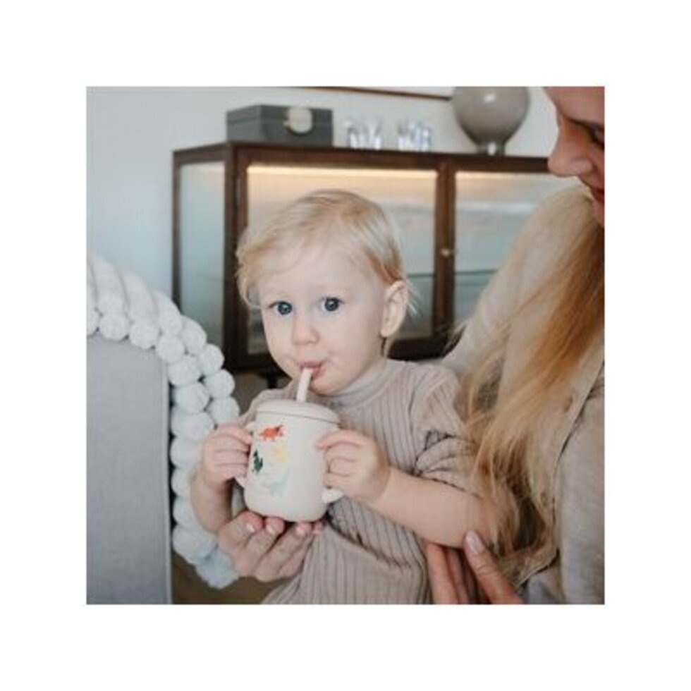 Silicone Training Cup &amp; Straw | Dinosaurs
