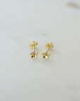 Daisy Day Studs - Gold